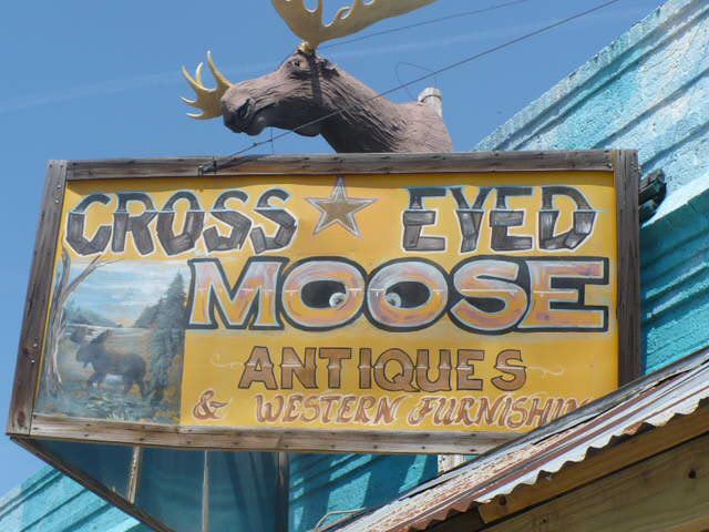 Cross-Eyed Moose